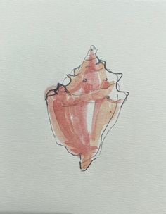 a watercolor drawing of a shell on white paper