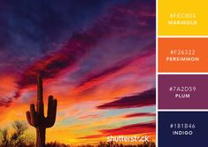 an image of a sunset with the colors purple, orange and yellow in it's palette