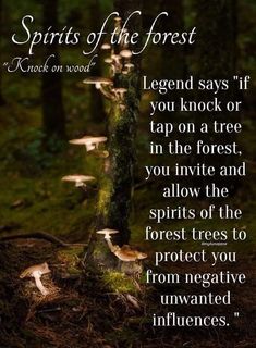 Forest Quotes, Nature Witch, Herbal Magic, Practical Magic, Magic Spells, Nature Quotes, Spell Book