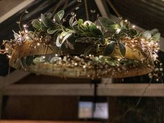 a plant hanging from the ceiling in a room with lights on it's sides