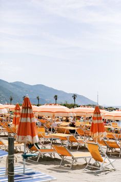 beach chairs and umbrellas are lined up on the sand