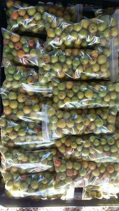 bags of green olives are stacked on top of each other