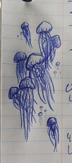 an ink drawing of jellyfish on lined paper