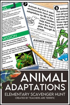 an animal's habitat and its surroundings with the text animal adaptationss elementary scavenger hunt