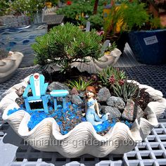 there is a miniature garden in the shape of a shell