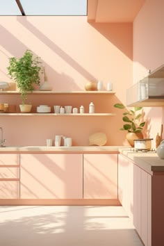 a kitchen with pink walls and shelves filled with plants