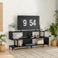 there is a tv that has the number 95 on it and some plants in front of it