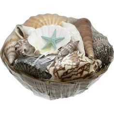 a basket filled with seashells and starfish