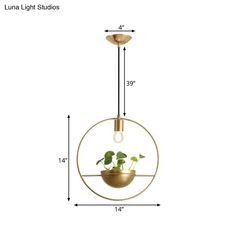 an image of a hanging light fixture with plants in the center and measurements for it