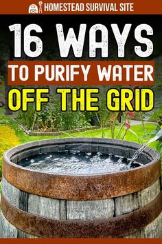 Survival Skills Emergency Preparedness, Water Survival, Purify Water, Off Grid Survival, Living Off The Grid, Survival Skills Life Hacks, Homesteading Skills, Survival Life Hacks