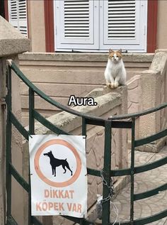 a cat sitting on top of a fence next to a sign that says, aura