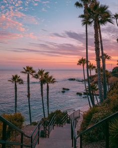 stairs leading to the beach at sunset with palm trees in the foreground and ocean in the background