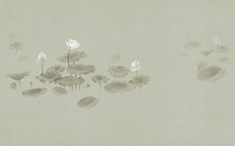 water lilies floating on top of a pond in the middle of a foggy day