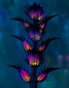 Alien Plants, Alien Concept, Alien Planet, Alien Concept Art, Unusual Flowers, Plant Aesthetic, Alien Worlds