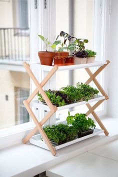 three tiered plant stand with plants on it in front of a window sill