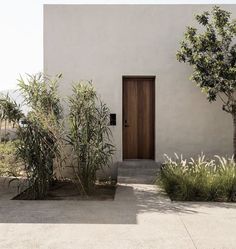 a house that has a door and some plants in front of it on the sidewalk