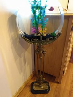 a fish bowl with plants in it sitting on top of a wooden floor next to a wall