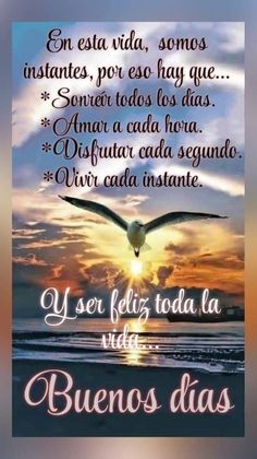 a bird flying over the ocean at sunset with spanish words in front of it and an image