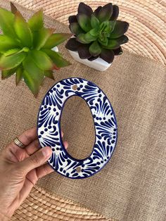 a hand holding a blue and white plate next to a potted succulent plant