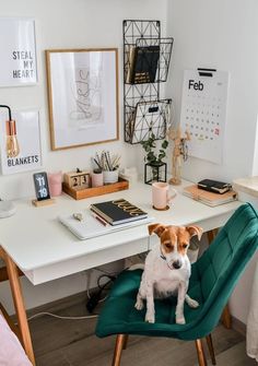 a dog sitting on a green chair in front of a desk with pictures and books