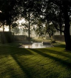 the sun shines through the trees onto a pond in a grassy area with water