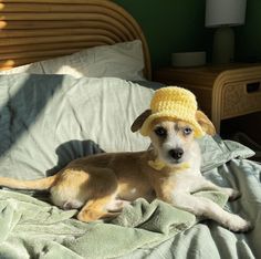 a small dog laying on top of a bed wearing a yellow crochet hat