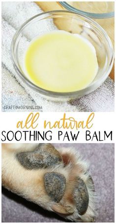 a dog paw with the words all natural soothing paw balm