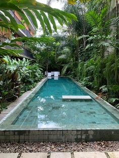 an empty swimming pool surrounded by greenery