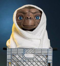 an image of a monkey with a towel on it's head in a shopping cart