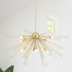 a gold chandelier hanging from the ceiling in a white room with a green plant