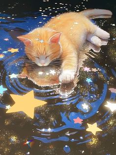 an orange cat laying on top of water surrounded by stars