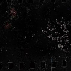 an old film strip with some flowers on the top and bottom half, in front of a black background