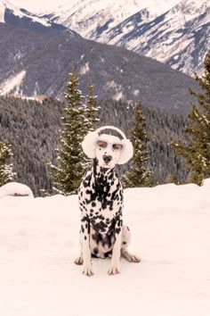 a dalmatian dog sitting on top of a snow covered slope wearing a hat