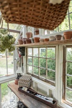 a room filled with lots of potted plants on top of windows sill next to a wooden table