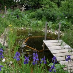 a wooden dock sitting in the middle of a garden filled with purple flowers and water lilies