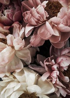 pink and white flowers are arranged together