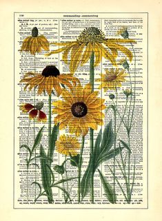 an old book page with sunflowers and butterflies on it's back side