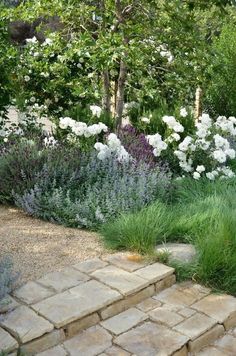 an image of a garden with flowers and plants on the left side of the photo