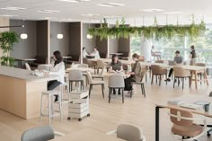 people are sitting at desks in an office with plants hanging from the ceiling and windows