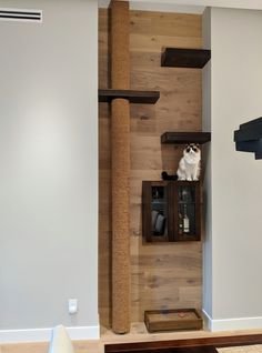 a cat sitting on top of a wooden shelf next to a scratching post in a living room