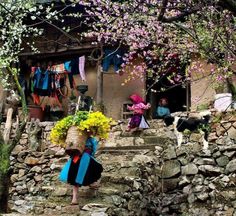 a woman walking up some steps with flowers in her hand and a dog on the other side