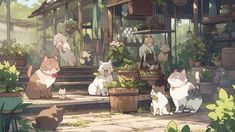 several cats are sitting on the steps in front of a house with potted plants