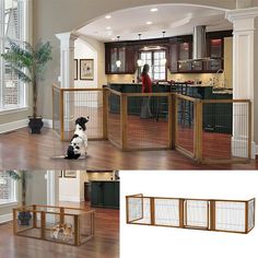 a dog sitting on the floor in front of a kitchen