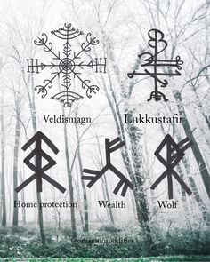 four symbols are shown in the middle of a forest with trees and snow on it