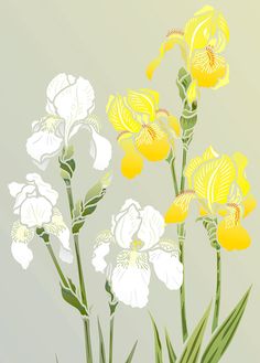 yellow and white flowers with green stems against a gray background