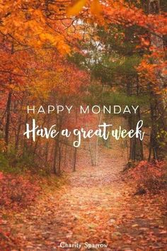 the words happy monday have a great week on a path surrounded by fall leaves and trees