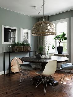 a dining room table with four chairs and a potted plant in the corner next to it