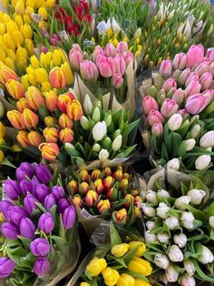 many different colored tulips are arranged together