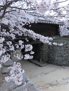 a stone wall with white flowers on it and a building in the background that looks like an old japanese temple