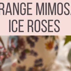 an image of orange mimosa ice roses with text overlaying the photo